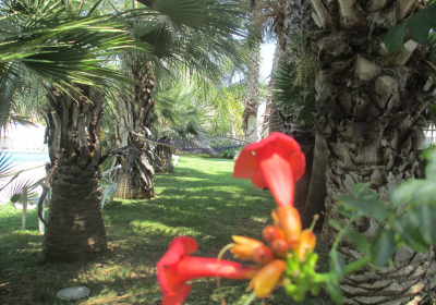 Agriturismo Appartamento Cuore Di Palme Monolocale Con Piscina